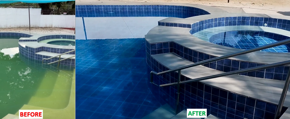 Pool Care Guide Basics